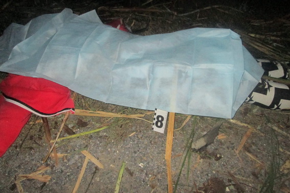 дтп закарпатье