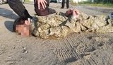 Группа лиц устроила нападение на перерабатывающее предприятие на Киевщине, - Небытов. ВИДЕО+ФОТОрепортаж