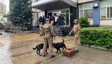Фонд госимущества заминировали из-за смены руководства "Центрэнерго"