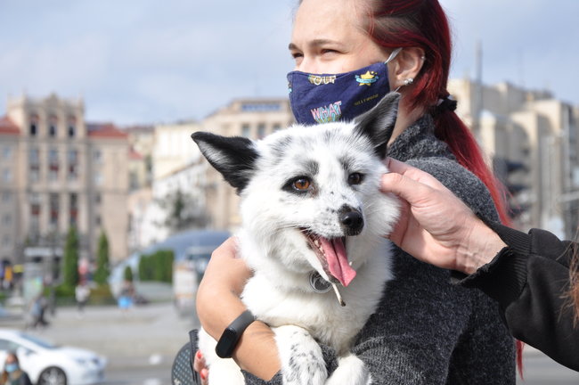 Акція на захист прав тварин відбулася на Майдані 15