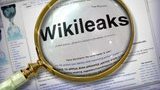 WikiLeaks обнародовал компании, которые следят за украинцами. Заказчики - МВД, СБУ, Минобороны и ГНАУ
