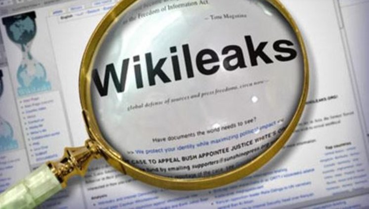 WikiLeaks обнародовал компании, которые следят за украинцами. Заказчики - МВД, СБУ, Минобороны и ГНАУ