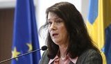 МИД Швеции о хакерской атаке на правительственные сайты Украины: Это то, о чем мы предупреждали и чего мы боимся. Надо выяснить, кто за этим стоит