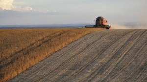 Как военное положение повлияет на агросектор
