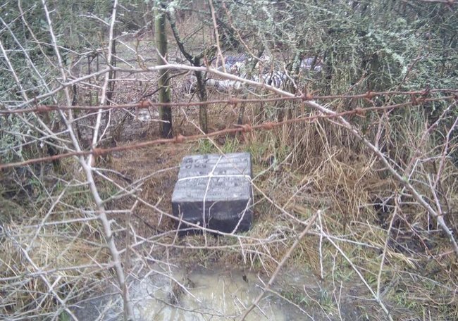 Четверо контрабандистов сигарет со стрельбой задержаны возле венгерской границы, - Госпогранслужба 02