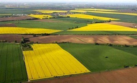 Єдине вікно по землі. Як ветерану без бюрократії отримати своє? 01