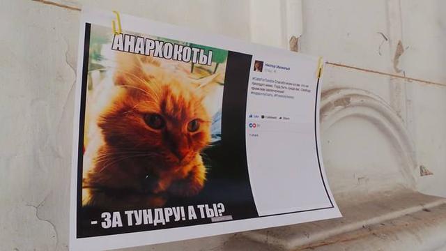 Акция-выставка #CatsForTundra в поддержку украинского политзаключенного в РФ Александра Кольченко прошла в Киеве 06