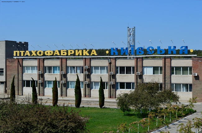 залоги