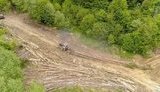 Незаконная вырубка леса на Закарпатье. ФОТО