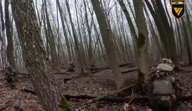 Бойцы ССО зачистили вражеские позиции на Курщине: 8 оккупантов уничтожены. ВИДЕО