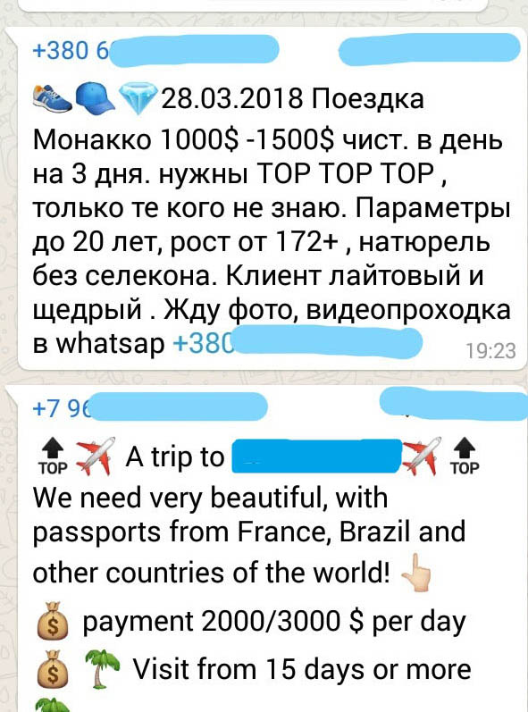 Полиция задержала киевлянок, занимавшихся сутенерством через группы в мессенджерах: Нужна ТОП, инста-girl, обложки, титулы, медийные и т.д. 03