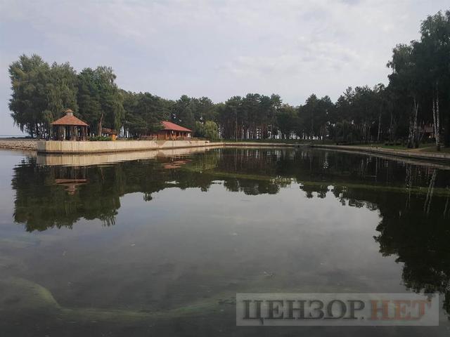 Hunting home of fugitive president Yanukovych: trophy from Lukashenko and guards shooting club 21 Hunting home of fugitive president Yanukovych: trophy from Lukashenko and guards shooting club 21