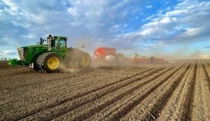 В Україні засіяли майже мільйон гектарів ярих зернових культур: які регіони лідирують?