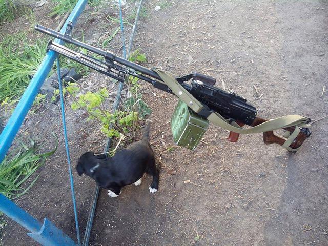 ато звери
