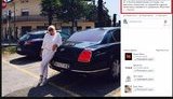 цибулины