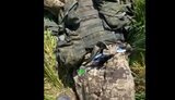 снайпер,білоруси