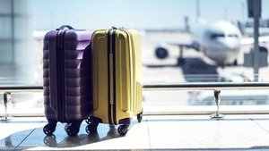 Турция и Италия запретили провоз ручной клади в самолетах на полках для багажа