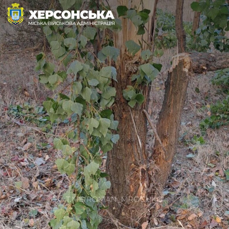 Consequences of enemy shelling of Kherson 05