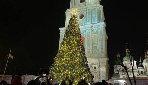 Новорічна ялинка в Києві може бути встановлена за кошти меценатів