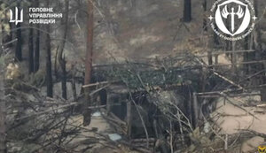 DIU fighters destroyed camouflaged guns and hideouts of Russians using Sych drones. VIDEO