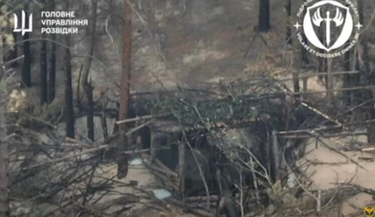 DIU fighters destroyed camouflaged guns and hideouts of Russians using Sych drones. VIDEO