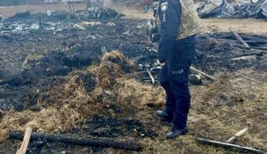 Атака "шахедів" на Київщину: У Вишгородському районі загинуло понад 40 свійських тварин, на Білоцерківщині постраждав чоловік. ФОТОрепортаж