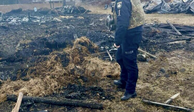 Атака "шахедів" на Київщину: У Вишгородському районі загинуло понад 40 свійських тварин, на Білоцерківщині постраждав чоловік. ФОТОрепортаж