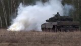 leopard,leopard2a4