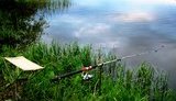В Україні почала діяти нерестова заборона на вилов риби, - Держрибагентство
