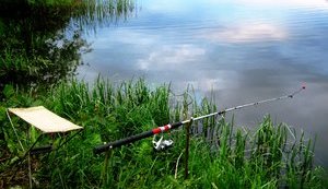 В Украине начал действовать нерестовый запрет на вылов рыбы, - Госрыбагентсво