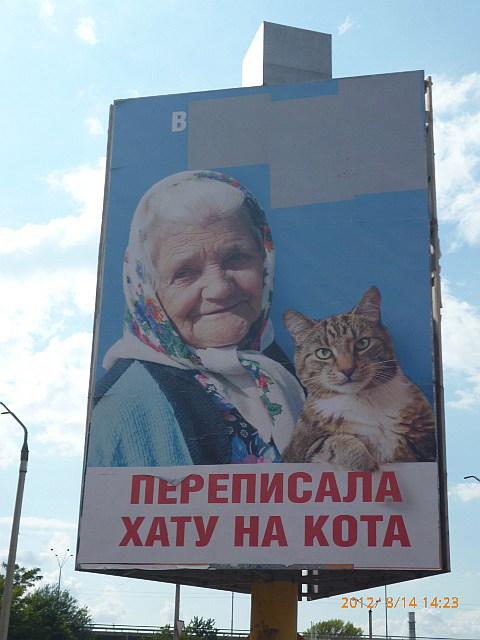 Росіяни вкрали український мем про бабусю і кота 02