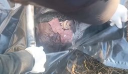 чорний мішок із росіянином