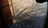прокуратура сепаратизм запорожье