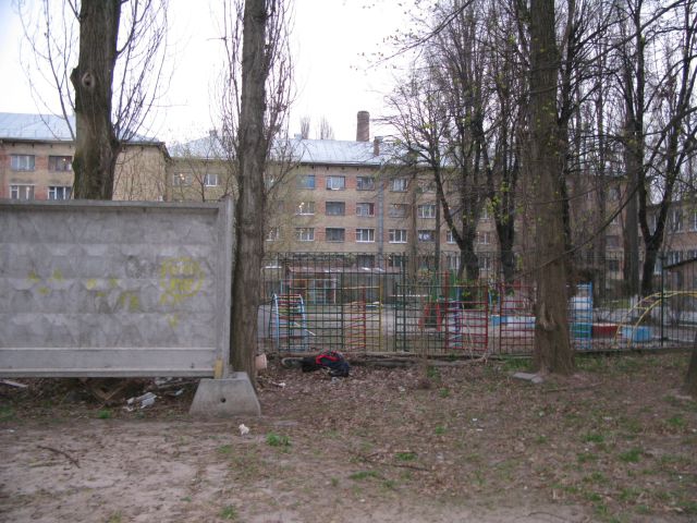 бузина