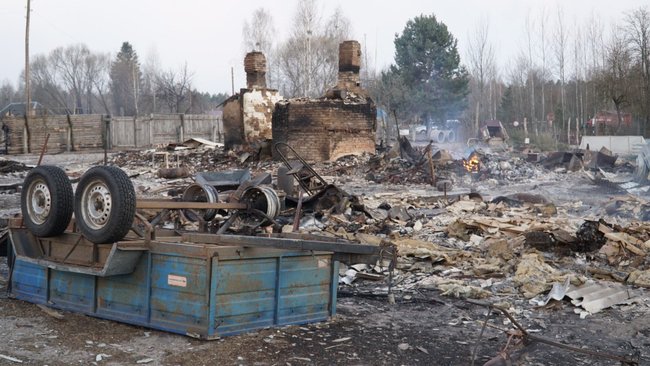 Причина лісових пожеж - приховування вирубки лісів, - Білецький показав кадри наслідків підпалів на Житомирщині 12 Причина лісових пожеж - приховування вирубки лісів, - Білецький показав кадри наслідків підпалів на Житомирщині 12
