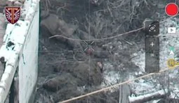 Пілоти 77-ї бригади уразили техніку та особовий склад ворога на Куп’янському напрямку