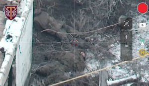 77-а бригада ліквідувала групи піхоти ворога на Куп’янському напрямку. ВIДЕО