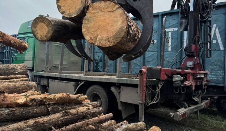 Остановлена самая масштабная схема контрабанды ценной древесины стоимостью более 1 миллиона гривен. ФОТОрепортаж