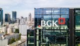 BGK