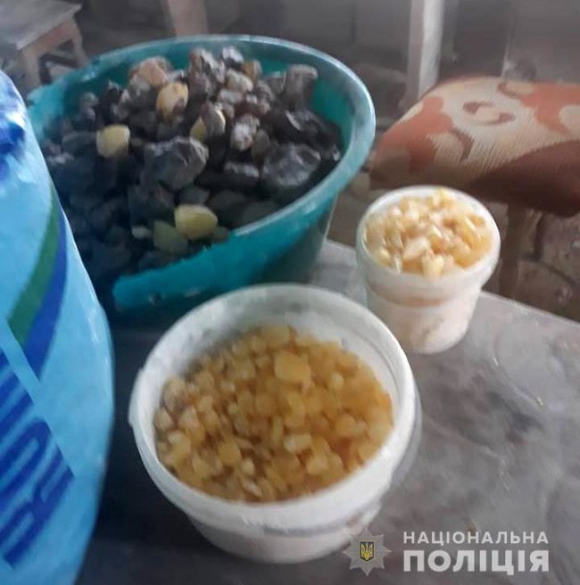 Підпільний цех з обробки бурштину викрили на Рівненщині, вилучено 100 кг каменю 02 Підпільний цех з обробки бурштину викрили на Рівненщині, вилучено 100 кг каменю 02