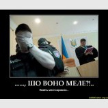 Стыдно...