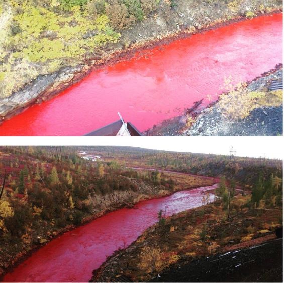 россия река норильск