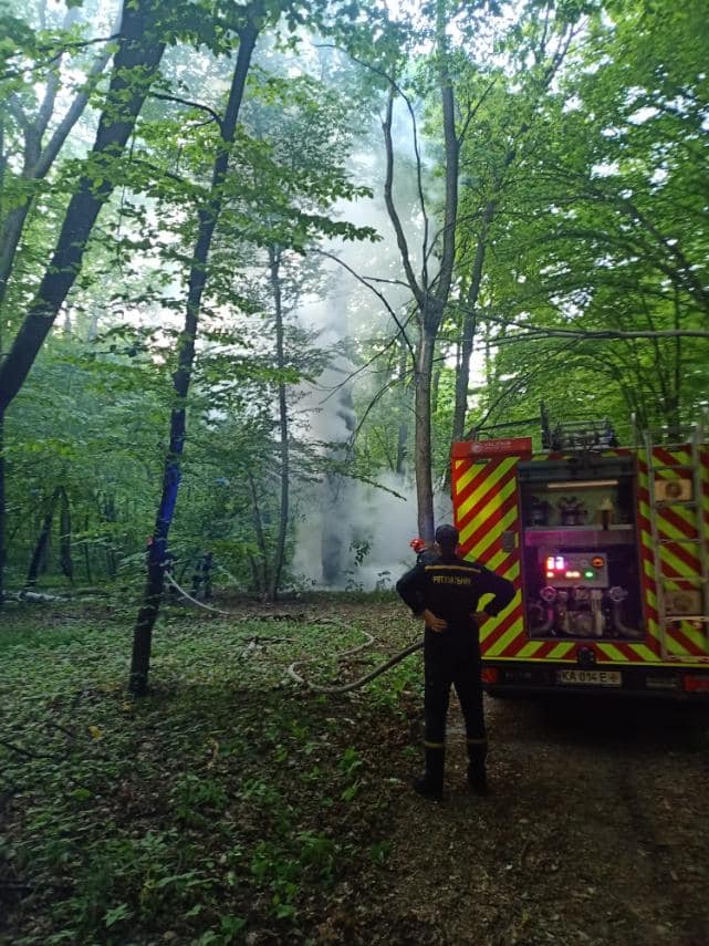 Невідомі кілька днів підряд підпалюють дерева в Голосіївському районі 03