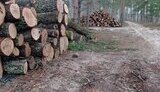 вирубка