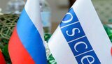 россия,обсе