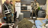 25 килограммов каннабиса изъяли правоохранители