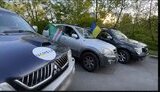 авто,волонетри