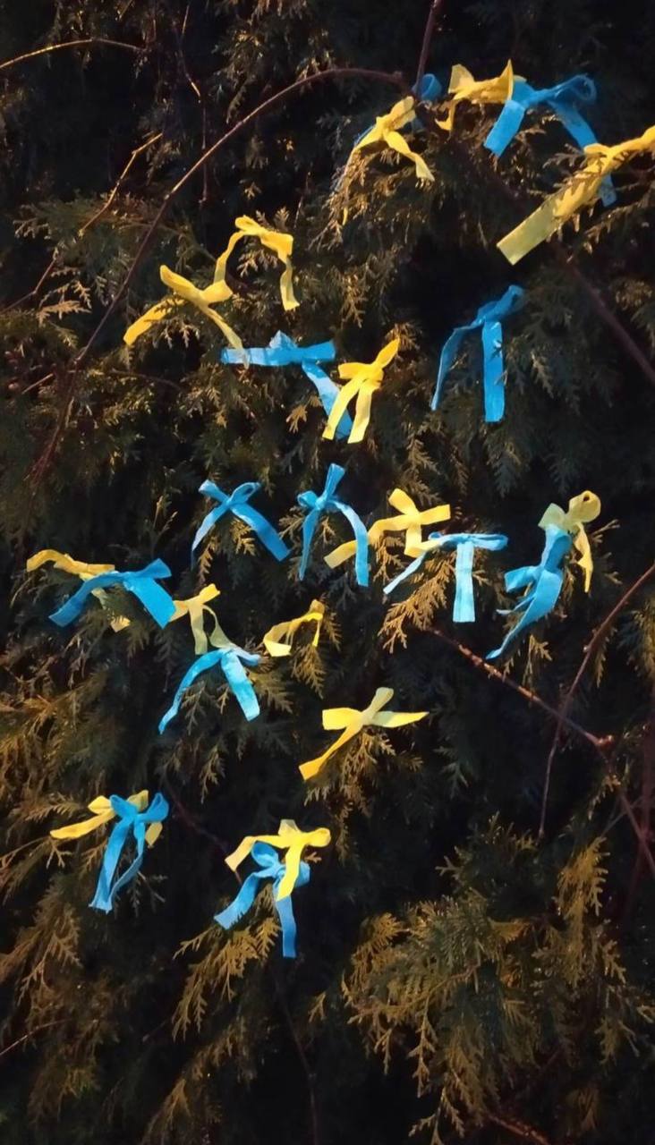 Жителі лівобережної Херсонщини на знак опору ворогу чіпляють синьо-жовті стрічки на вулицях 04