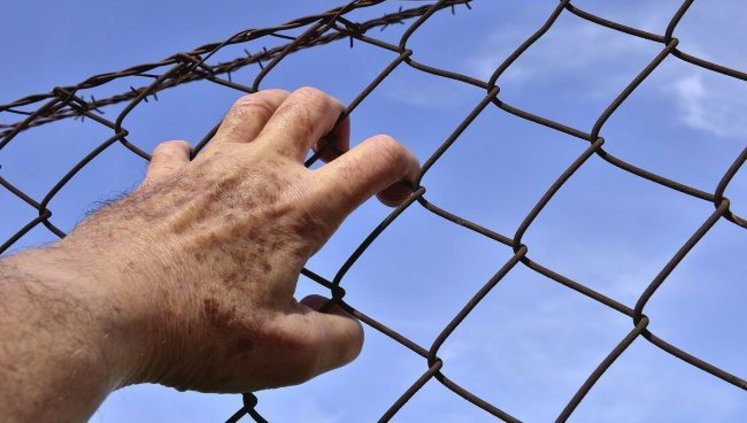475 Ukrainians detained or were detained in Russia