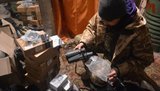волонтер толмачева